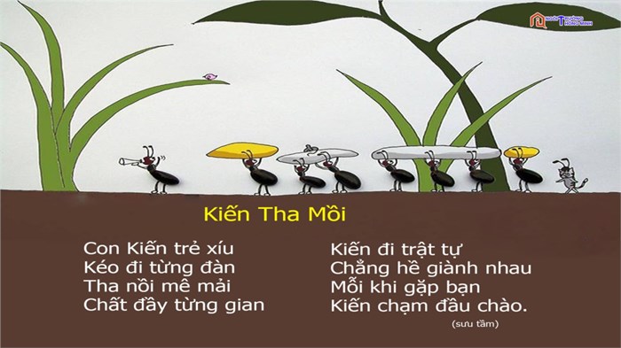 Sở Giáo Dục Và Đào Tạo Vĩnh Phúc Sở Giáo Dục Và Đào Tạo Vĩnh Phúc