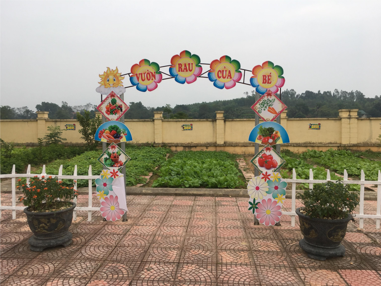 Trường mầm non Nghi Hương xây dựng thành công mô hình Vườn rau sạch cho bé   Trang thông tin điện tử thị xã Cửa Lò