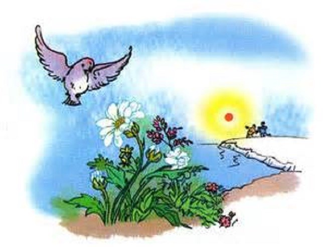 Chim Sơn Ca: Đặc điểm, Cách nuôi - Ăn gì, Giá bao nhiêu? Chim Sơn Ca: Đặc điểm, Cách nuôi - Ăn gì, Giá bao nhiêu?