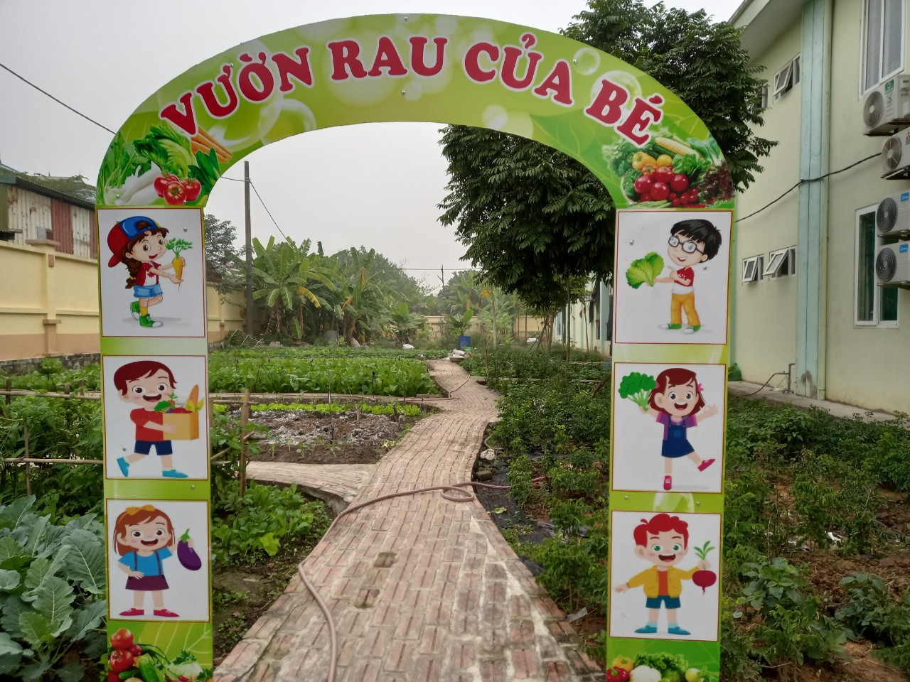 Quang Anh HCM  chuyên thi công mô hình vườn rau của bé tại các trường mầm  non