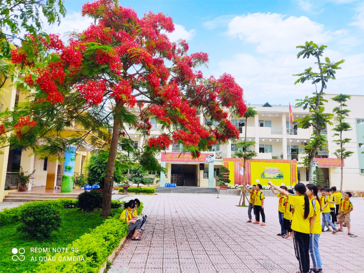 Sở Giáo Dục Và Đào Tạo Vĩnh Phúc